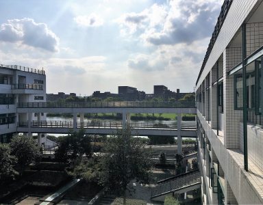 Universidad de Zhejiang